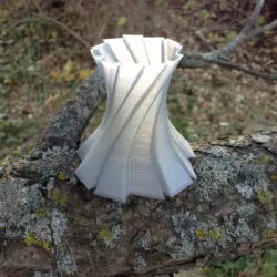 Freeform Vase