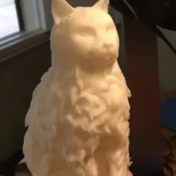 Furry Cat