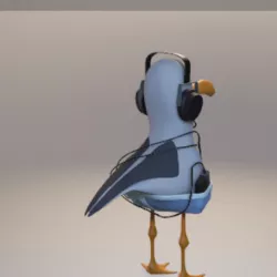 Gull with helmet