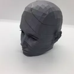 head low poly poly
