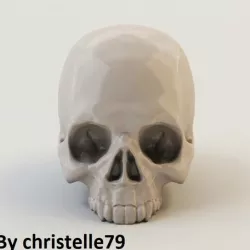 Human Skull