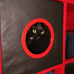 IKEA Cat Box