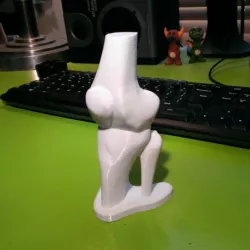 Knee joint