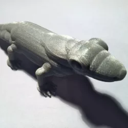 komodo dragon