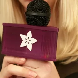 LED Microphone Flag