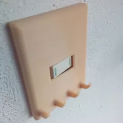 light switch cover