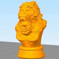 MonkeyKing head