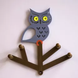 Multi-Color Owl Coat Hanger