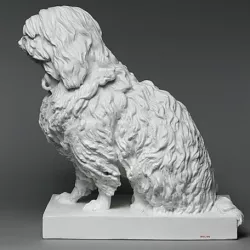 Musette, a Maltese dog