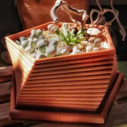 PentaPot
