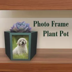Picture Frame Plant Pot