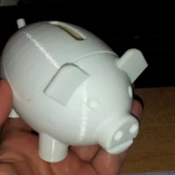 Pig piggy bank