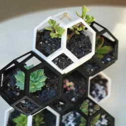 Plantygon - Modular Geometric Stacking Planter for Succulents