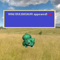 Pokemon Pack 24
