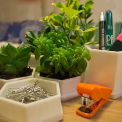 Polygonal pot