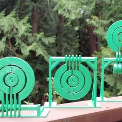 Print-in-place target spinners