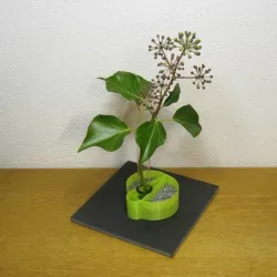 Pythagoras and the 3D-Printing Age