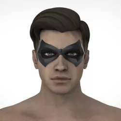 Robin mask