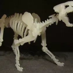 Sabertooth 3D Puzzle Construction Kit