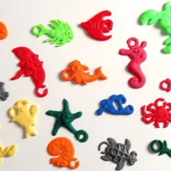 Sea Creatures!