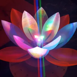 Servo Flower