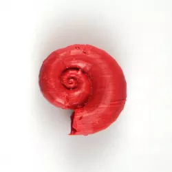 Shell for