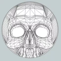 Skull Box
