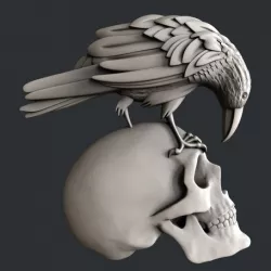 Skull raven