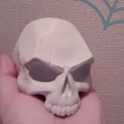 SKULL - SCAR