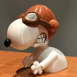 Snoopy Ace