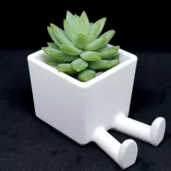 Succulent Planter / 3D printed planter / Legged Planter