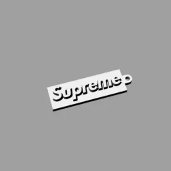 Supreme Key Chain