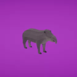 Tapir