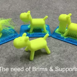 Teaching tool of 3D printer with brims & supports