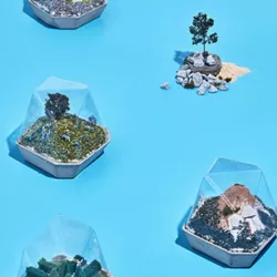 Terrarium project by Mayku
