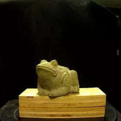 Tiny Frog