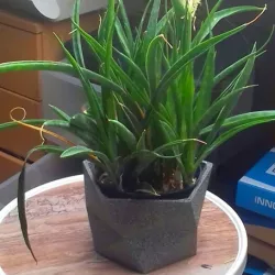Twisted flower pot - wide version. Wide flower pot