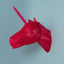 Unicorn Head