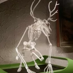 Unknown Creatures N° 1 - Wendigo Skeleton