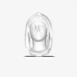 Veiled Woman at The Louvre, Paris