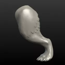 Wolf Hind Leg