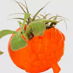 Acorn Planter