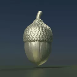 Acorn