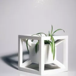 AION Planter