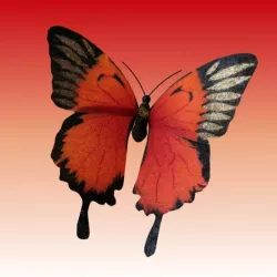 AnimatedButterfly loop