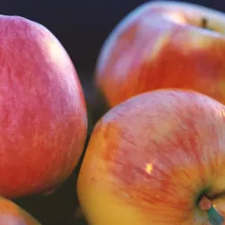 APPLES