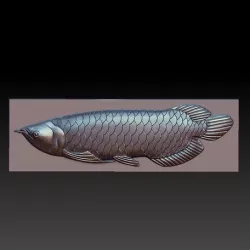 Arowana fish
