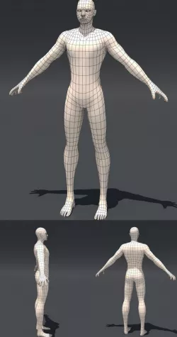 Base Human mesh