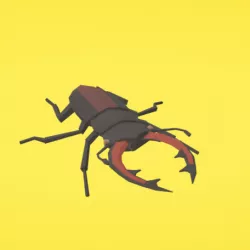 Beetle