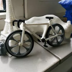 bicycle race model